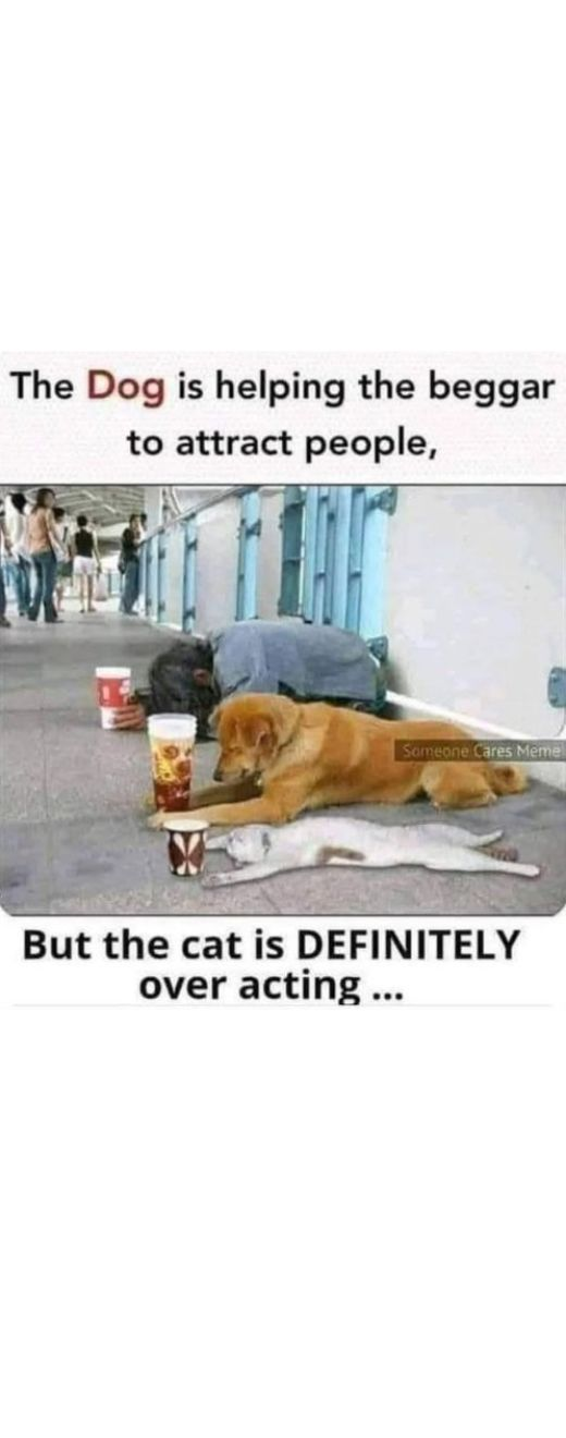 1757531930629.png