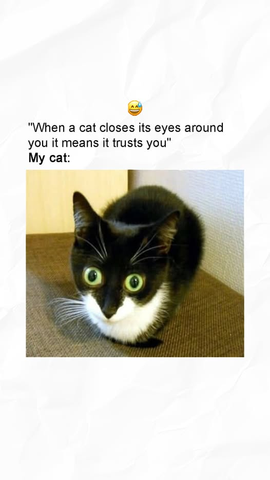 1757592738358.png