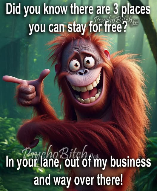 1757610396971.png