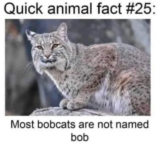 1757617833903.png