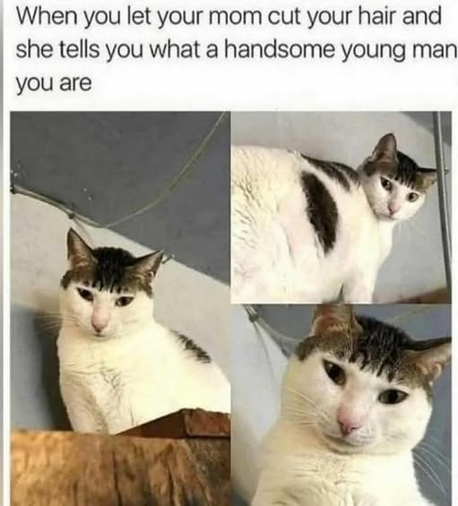 1757621947953.png