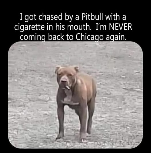 1757716536975.png