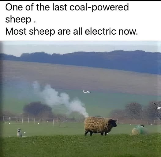 1757796937087.png