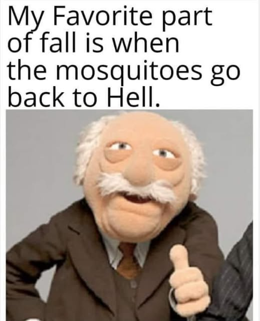 1757797442485.png