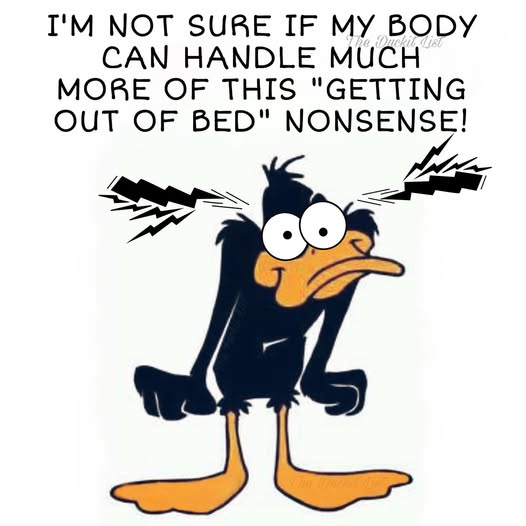1757956398050.png