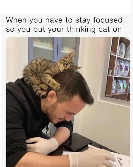 1757976553046.png