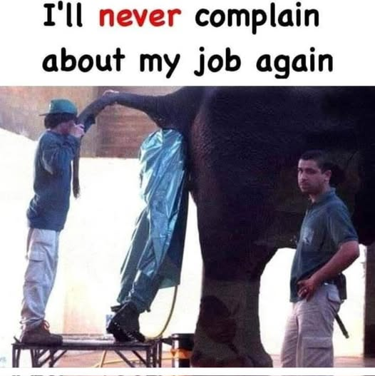 1758142500171.png