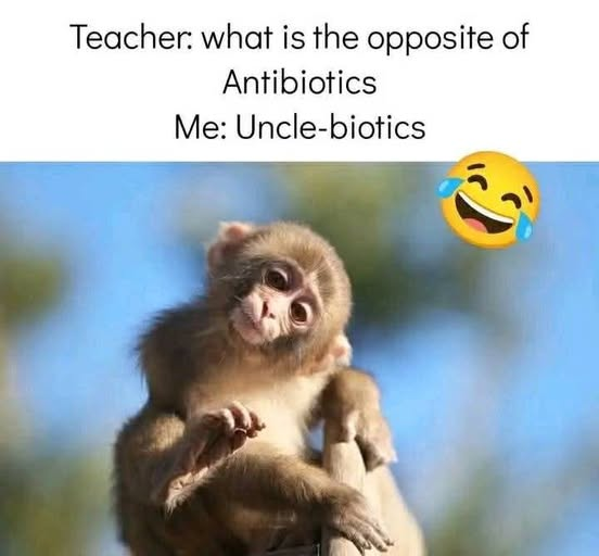 1758320072232.png