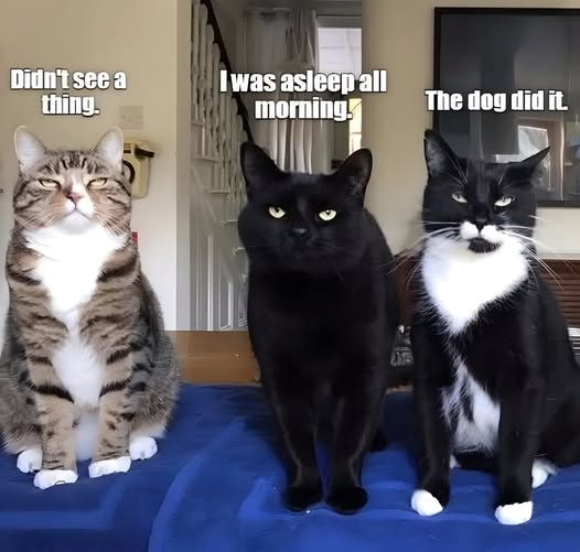 1758383023757.png