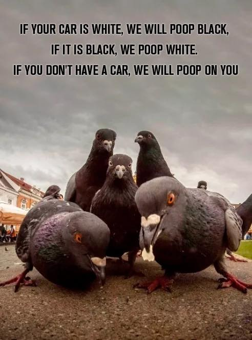 1758402845694.png