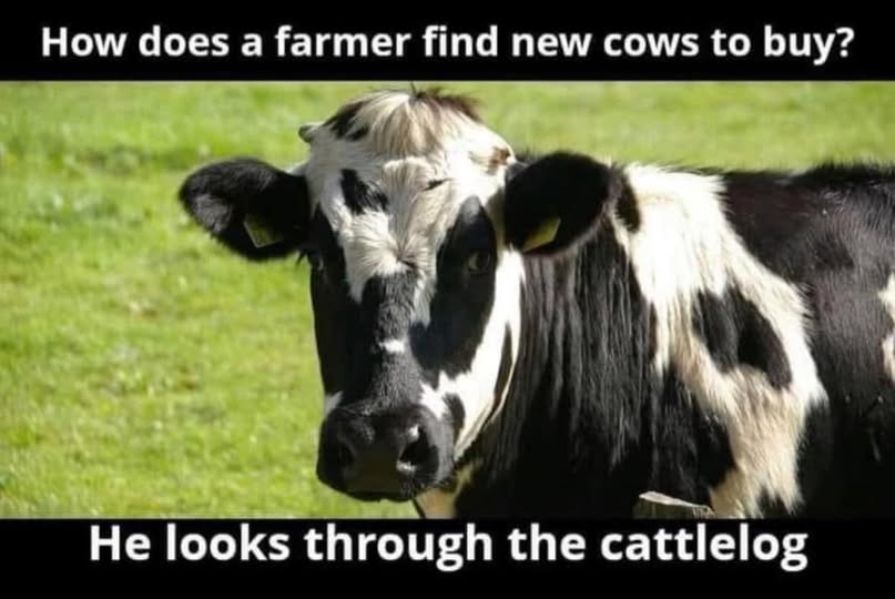 1758405307536.png