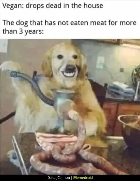 1758473416642.png