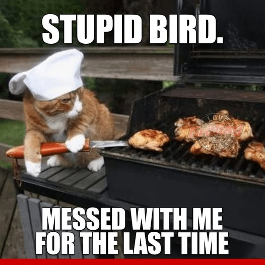 1758481624707.png