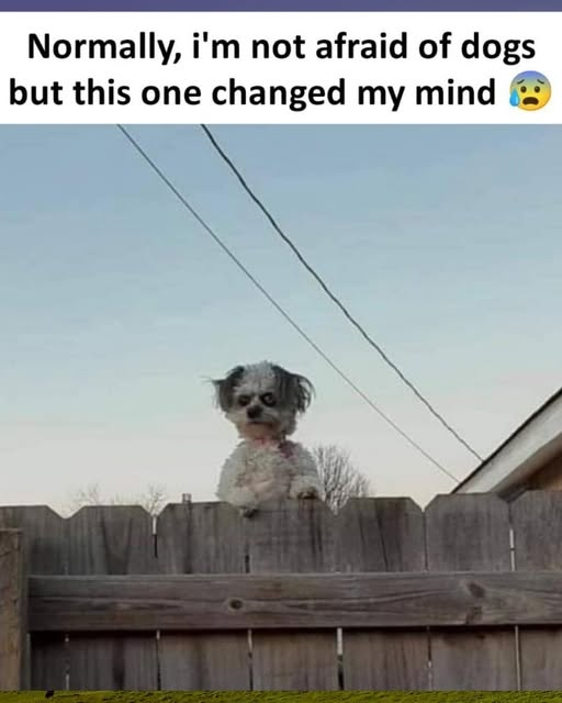 1758481832413.png