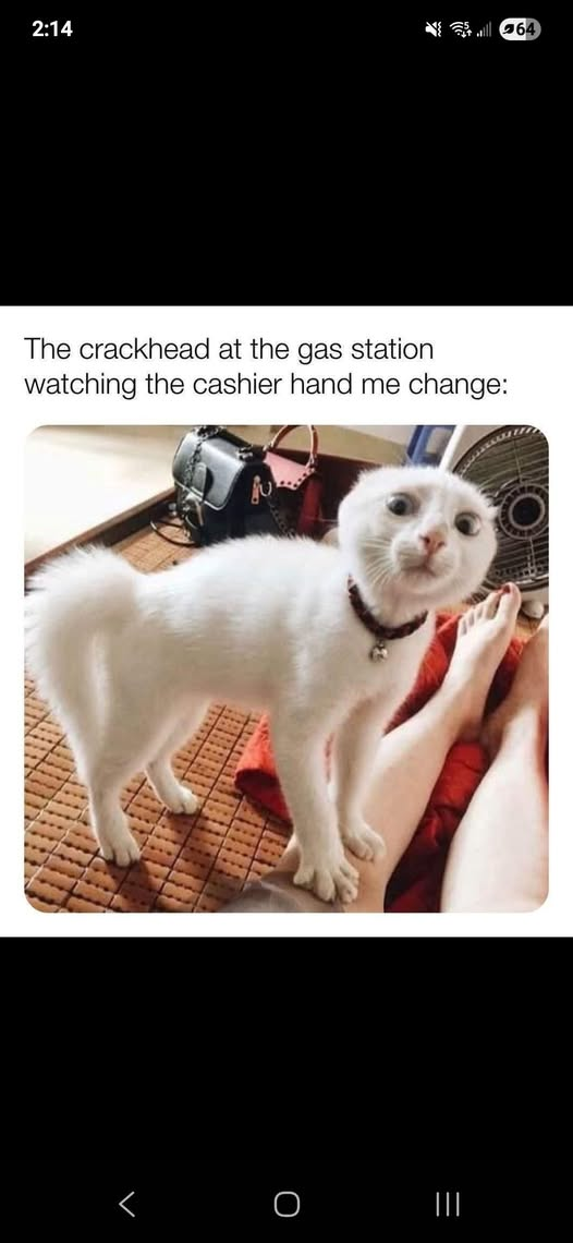 1758565751166.png