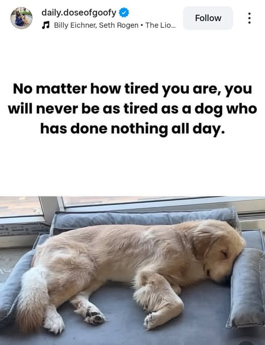 1758580494877.png