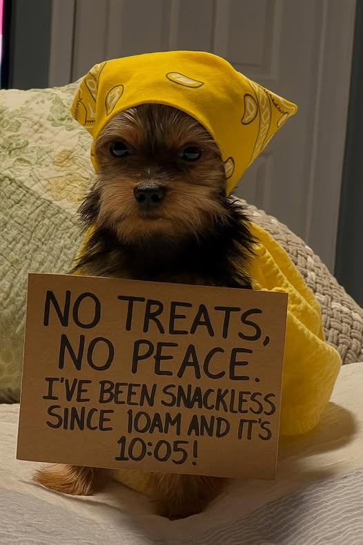 1758581092219.png