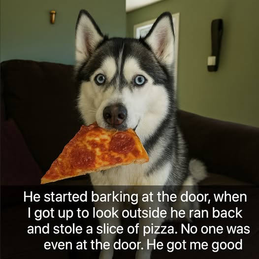 1758655804643.png