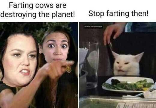 1758727260417.png
