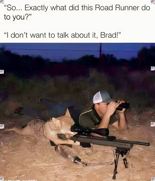 1758728287569.png
