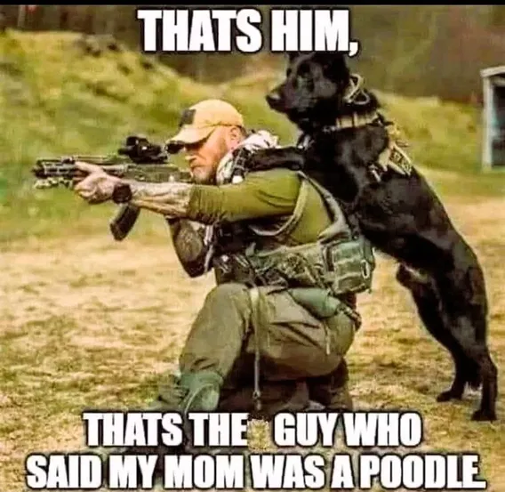 1758793882488.png