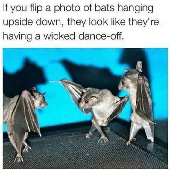 1758884392798.png