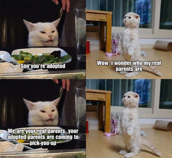 1758915796567.png