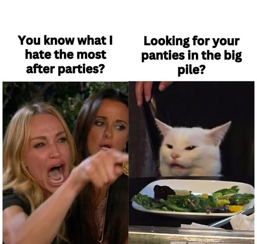 1759067763533.png