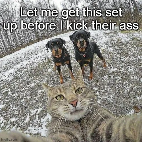1759142268531.png