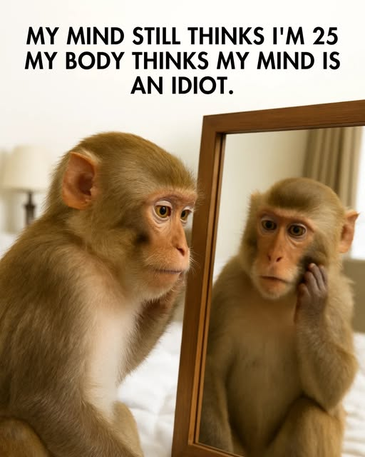 1759150302281.png