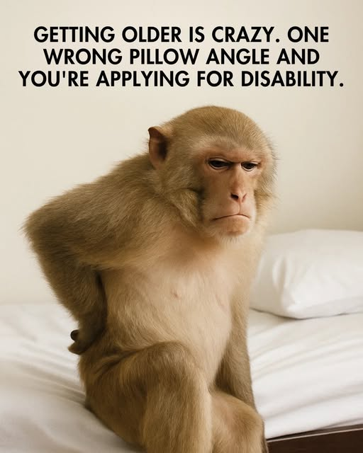 1759151420119.png
