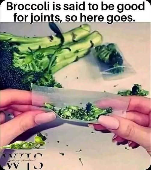 1759172064649.png