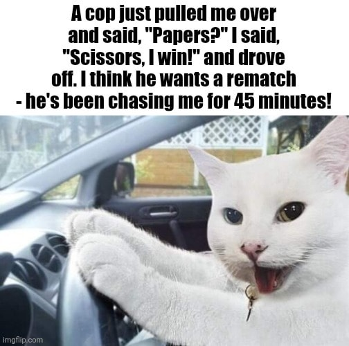 1759431344402.png