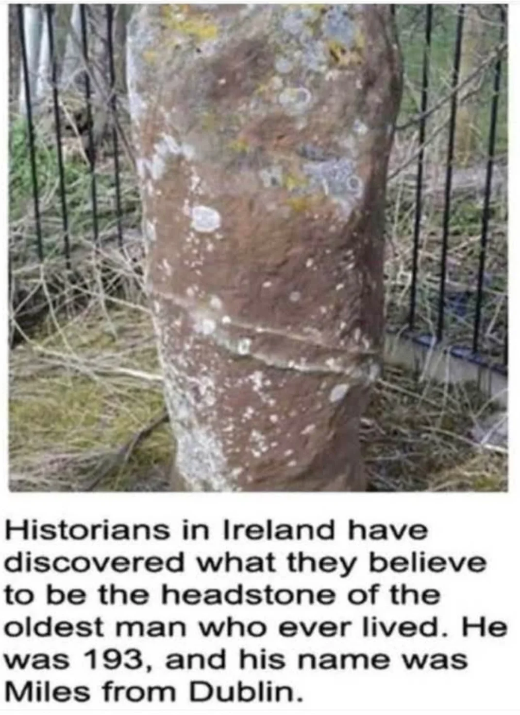 1759490343720.png