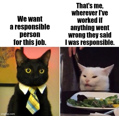 1759695970395.png