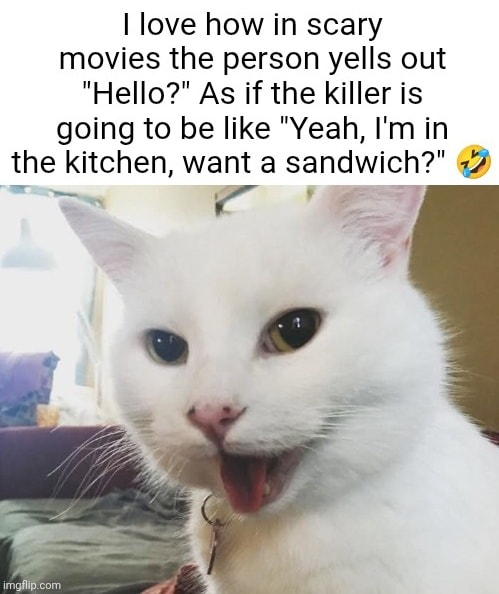 1759772244142.png