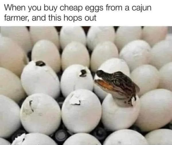 1759774547632.png
