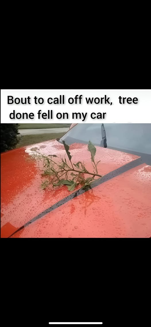 1759777862674.png