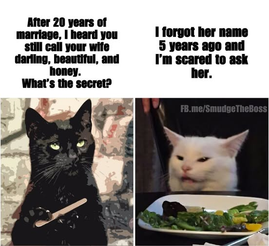 1760029567012.png