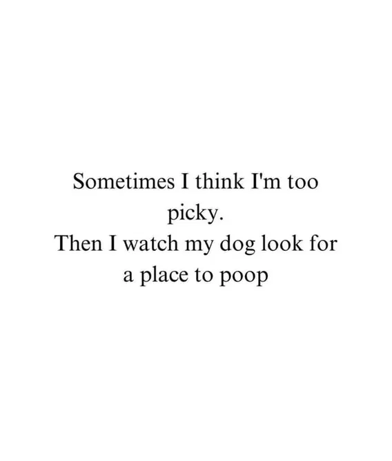 1760129769551.png