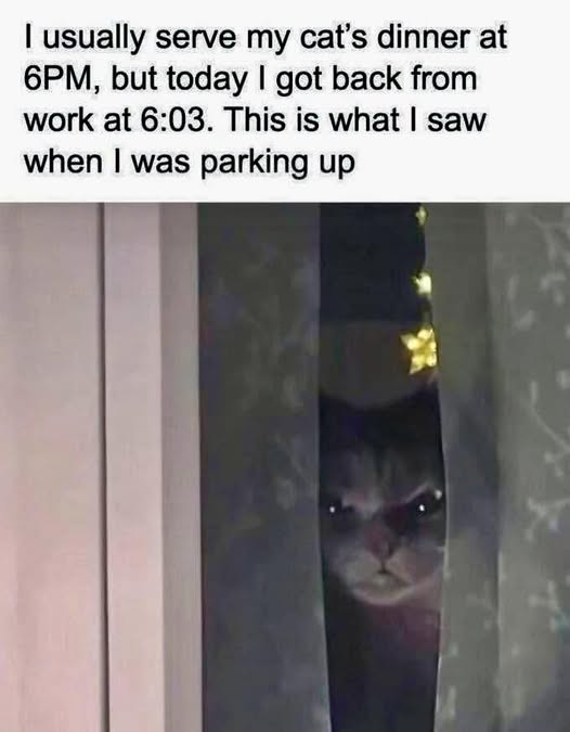 1760211498583.png