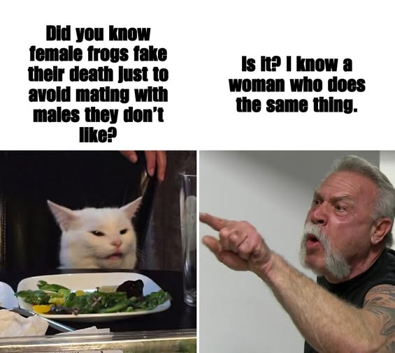 1760358678714.png