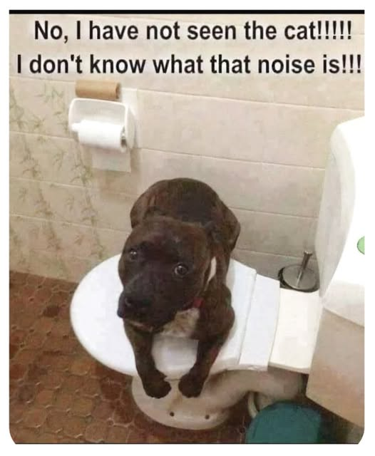 1760371227452.png