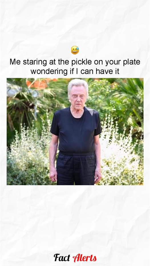 1760561684444.png
