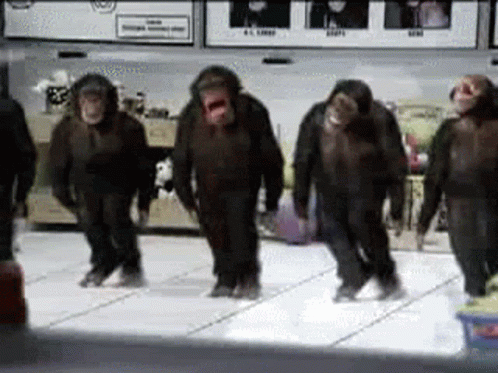 1760564342533.gif