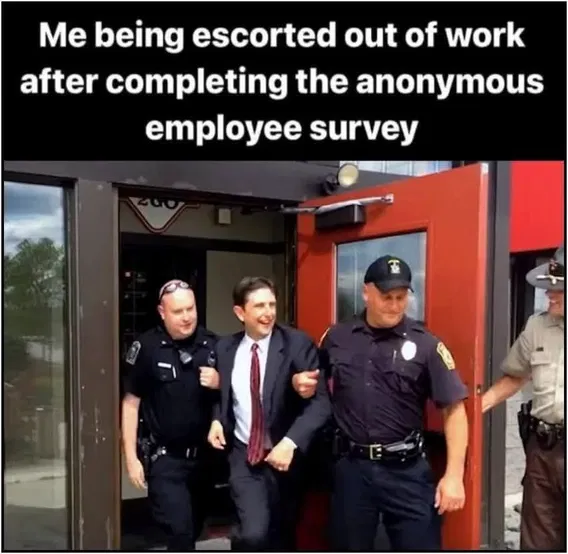 1760653574682.png