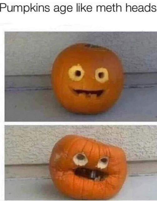 1760733763349.png