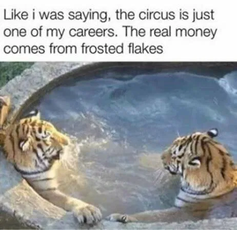 1761036997537.png