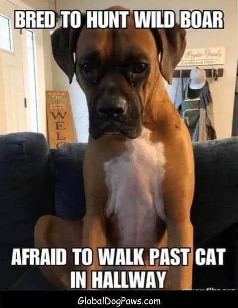 1761136061607.png