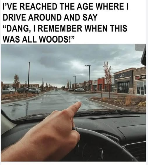 1761136254362.png